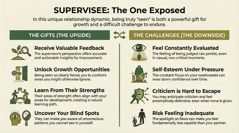 Supervisee infographic