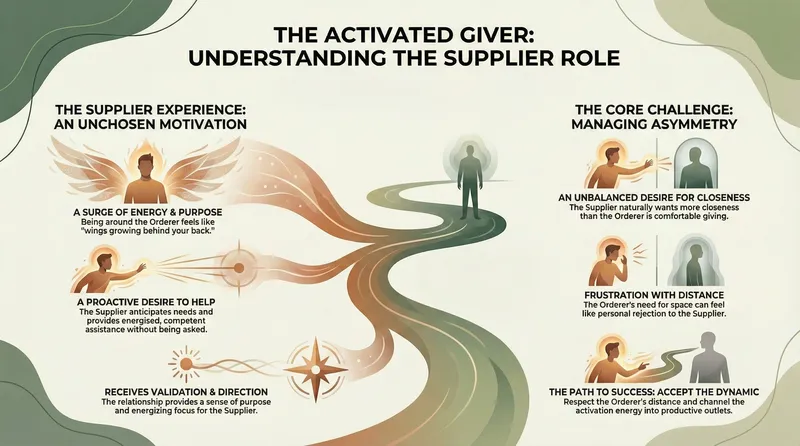 Supplier infographic